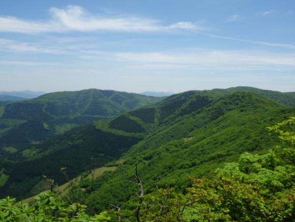 パッチワークのような模様に映える新緑の熊本脊梁の山々。きれいです！